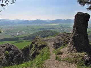 Babice 5 - Majtán Robo