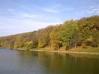 Vodná nádrž Dubník 3 - Diana Šimovičová