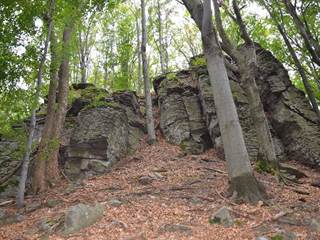 Veľký Milič 5 - Paulina Melková