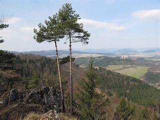 Biela skala 2 - Majtán Robo