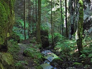 Tiesňava Hučiaky 02 - Majtán Robo