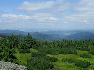 Volovec - Skalisko 4 - Paulina Melková