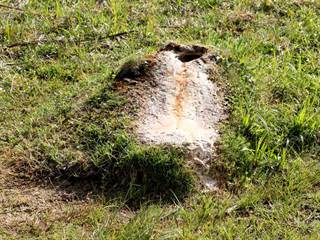 Mičinské travertíny 20 - Daniela Tomášiková