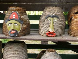 Včelárska paseka 4 - Juraj Bondora