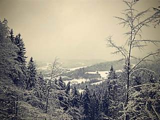 Hradisko Veľký vrch 3 - Majtán Robo