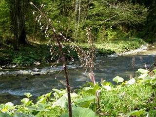 Gaderská dolina 06 - Daniela Tomášiková