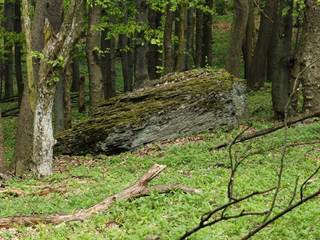 Krivá 4 - Daniela Tomášiková