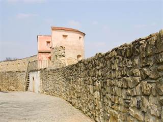 Okolie Dolnej brány Bardejov 2