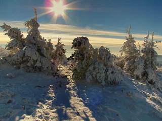 Kľak 9 - Majtán Robo