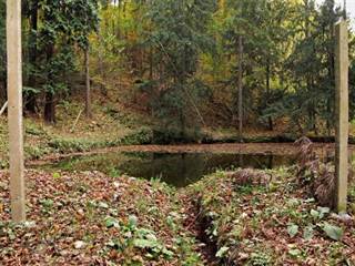 Teplické serpentíny 10 - Majtán Robo