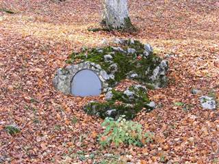 Rastlinný kostol 9 - Viktor Szemán