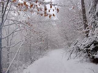 Hradisko Veľký vrch 6 - Majtán Robo