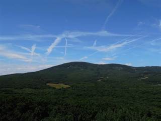 Veľký tribeč 5 - Pelex