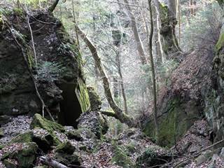 Parkaň 05 - Daniela Tomášiková