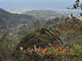 Teplické serpentíny 12 - Majtán Robo