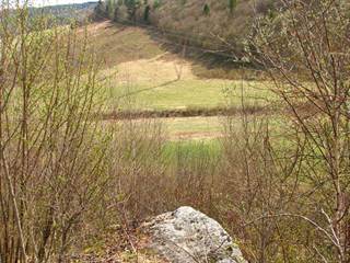 Hrabkovské zlepence 8 - Palino Peťovský