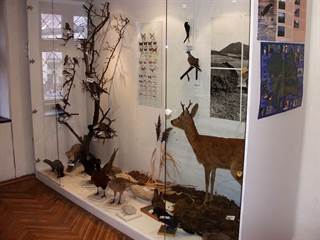 Mestské múzeum v Rajci 9