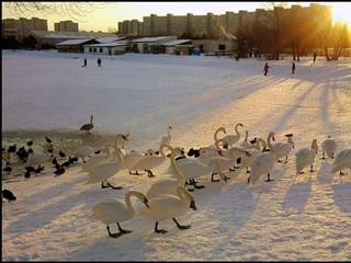 Veľký draždiak 4 - Kristína Nováková
