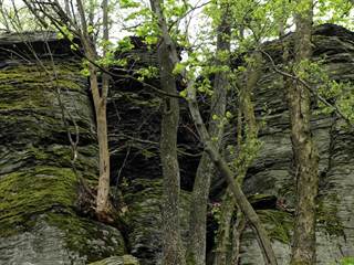 Benát 5 - Daniela Tomášiková