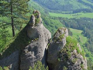 Babice 3 - Majtán Robo