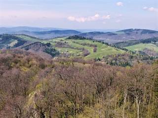 Chmeľová 2 - Marcel Pribiš