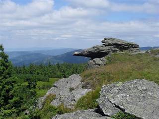 Volovec - Skalisko 1 - Paulina Melková