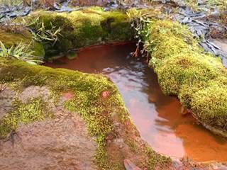 Mičinské travertíny 7 - Palino Peťovský