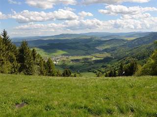 Bachureň 6 - Paulina Melková