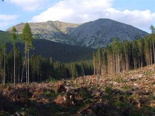 Tupá 2 - Jerzy Opioła