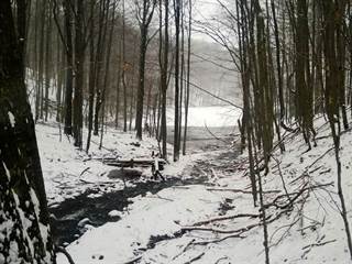 Morské oko 6 - Palino Peťovský