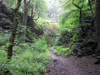 Hlbočianska dolina 3