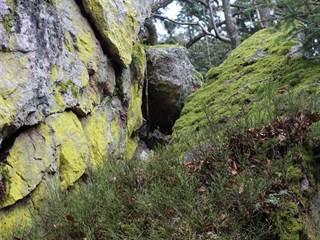 Hradisko na Kláštore 05 - Daniela Tomášiková