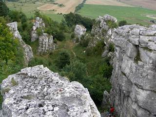 Dreveník 4 - Daniela Tomášiková