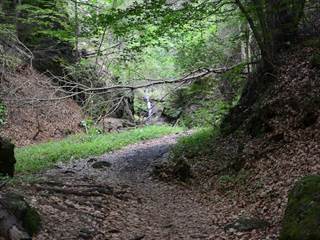 Lačnovský kaňon 2 - Paulina Melková