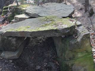 Parkaň 07 - Daniela Tomášiková