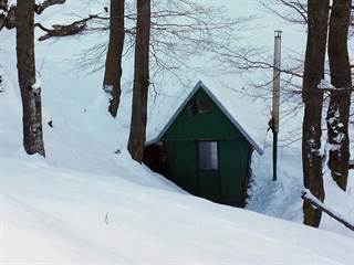 Veľký Manín 14 - Štefan Zvak