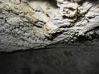 Tunelová jaskyňa 6 - Majtán Robo