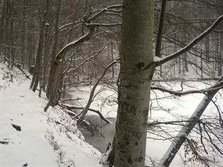 Morské oko 4 - Palino Peťovský