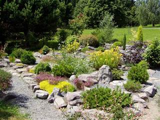 Arborétum Borová hora 4