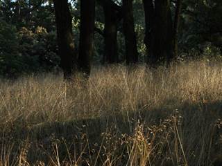 Hrdovická 9 - Daniela Tomášiková