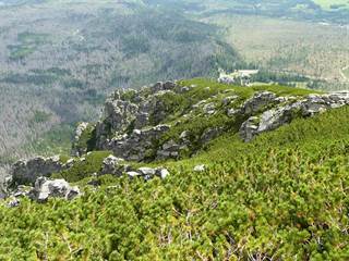 Slavkovská dolina 5 - Podzemnik