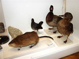 Mestské múzeum v Rajci 10