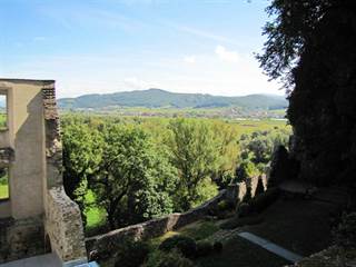 Skalka pri Trenčíne - Veľ. 5 - Majtán Robo