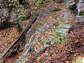 Kľacký vodopád 2 - Daniela Tomášiková