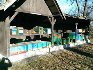 Včelárska paseka 11 - 0907 743 098