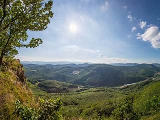 Jastrabská skala 2 - Marek Zelina