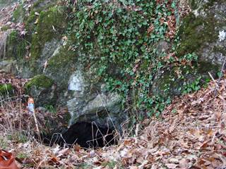 Jaskyňa Mara medvedia 5 - František Radinger