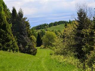 Bachureň 7 - Paulina Melková