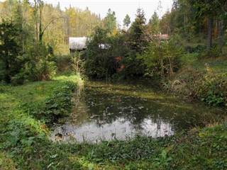 Teplické serpentíny 9 - Majtán Robo