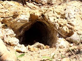 Zolniansky lahar 9 - Daniela Tomášiková